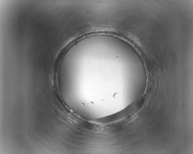 X0000068731165200605121510