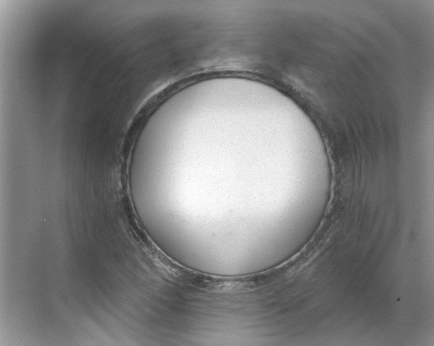 X0000068731166200605121510