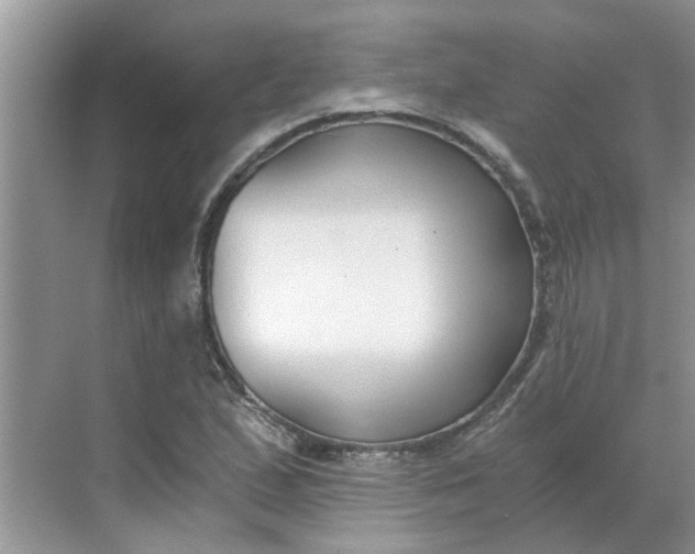 X0000068731167200605121510