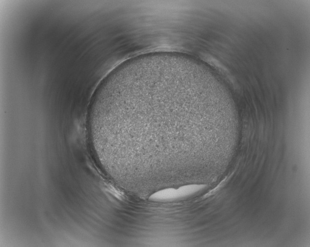 X0000068731170200605121510