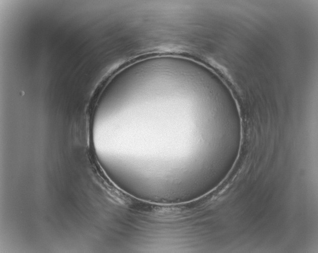 X0000068731171200605121510