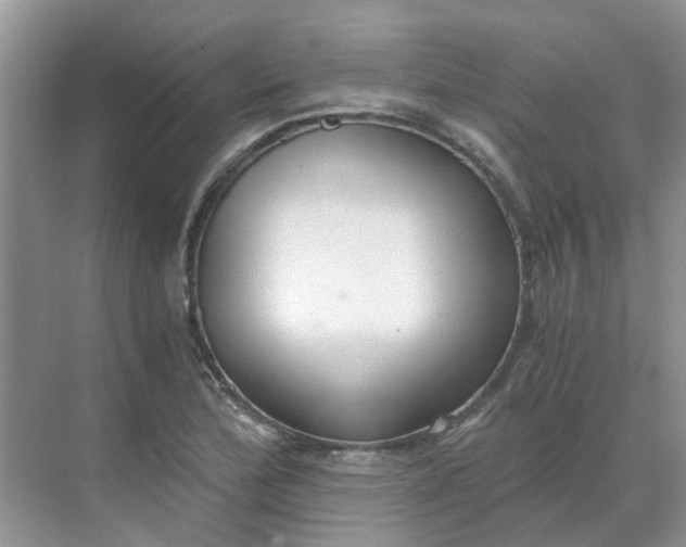 X0000068731172200605121510