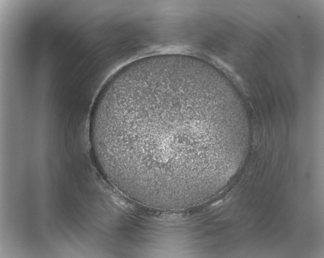 X0000068731174200605121510