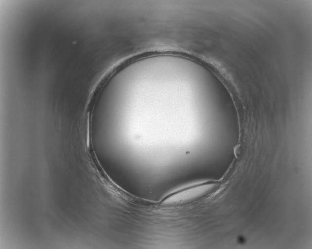 X0000068731175200605121510