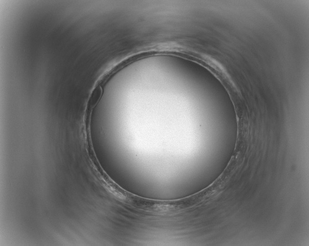 X0000068731176200605121510