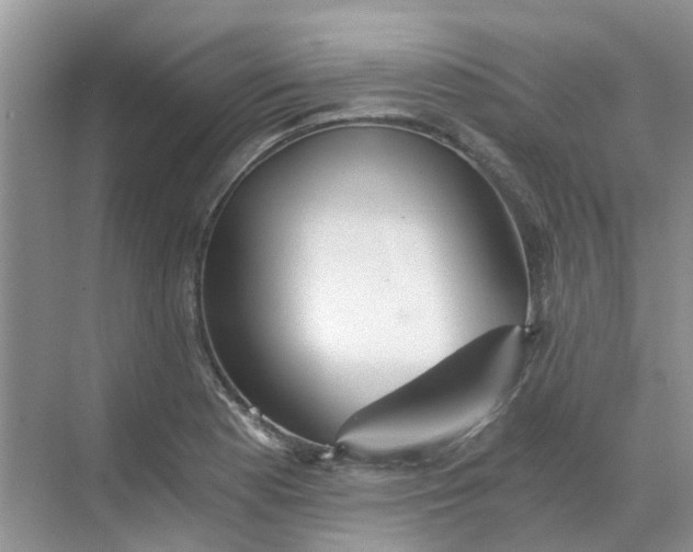 X0000068731177200605121510