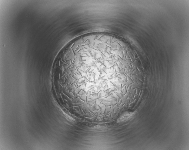 X0000068731178200605121510