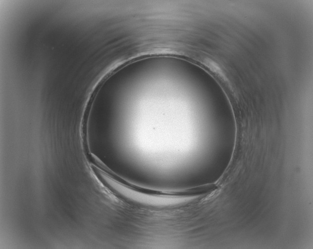 X0000068731181200605121510