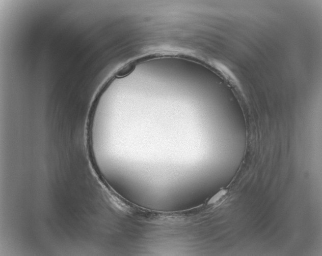 X0000068731183200605121510