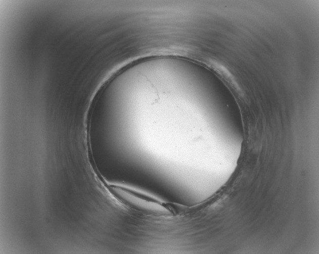 X0000068731184200605121510