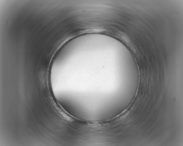 X0000068731186200605121510