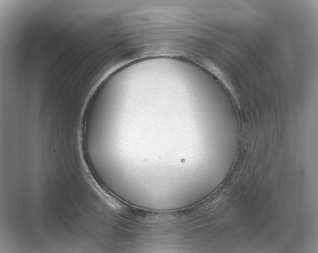 X0000068731187200605121510