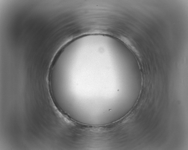 X0000068731189200605121510