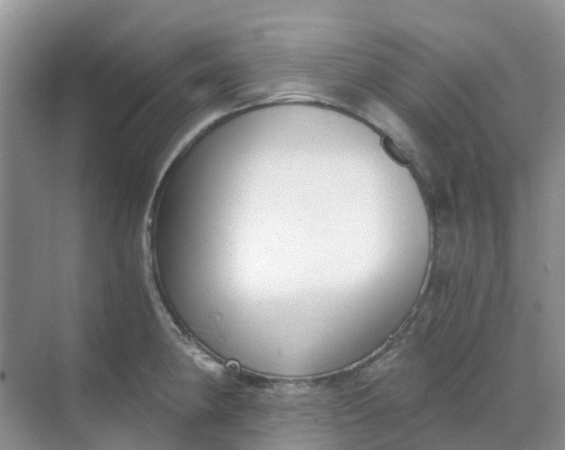 X0000068731190200605121510