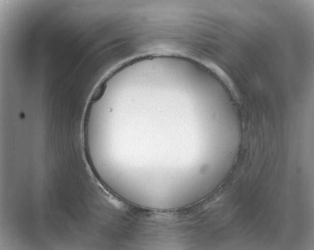 X0000068731191200605121510