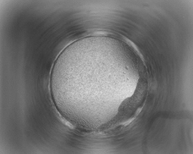 X0000068731194200605121510