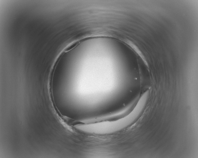 X0000068731197200605121510