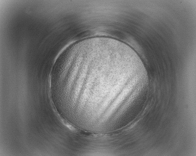 X0000068731198200605121510