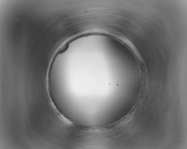 X0000068731199200605121510