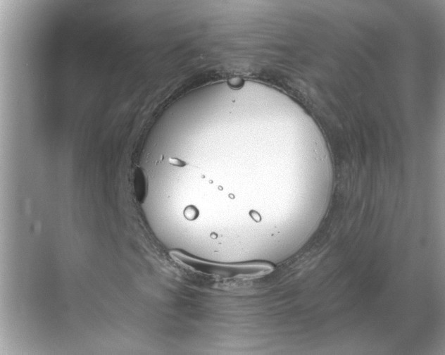 X0000068731201200605121509