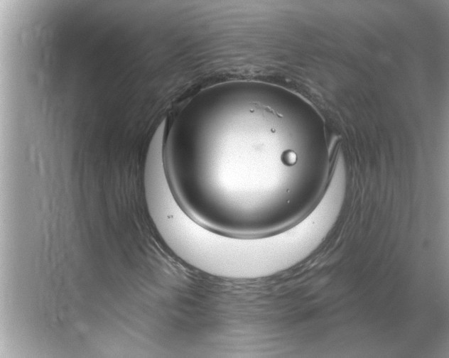 X0000068731202200605121509