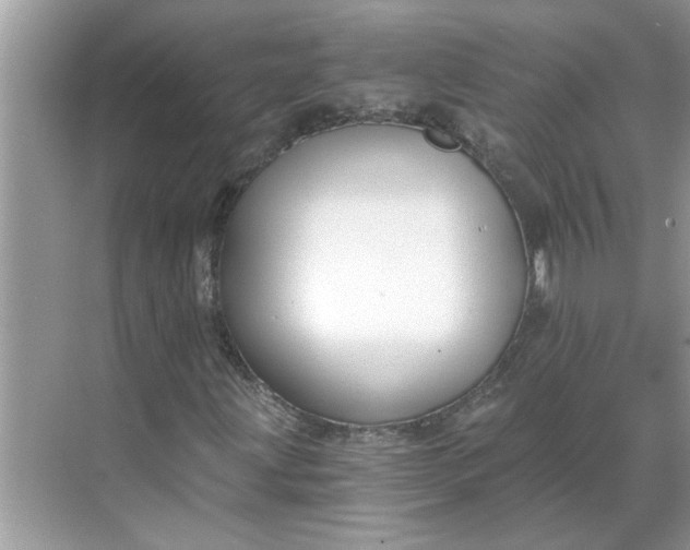 X0000068731203200605121509