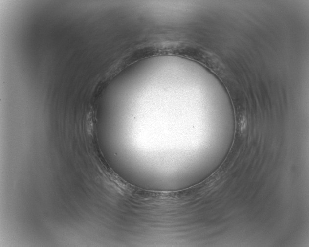 X0000068731204200605121509