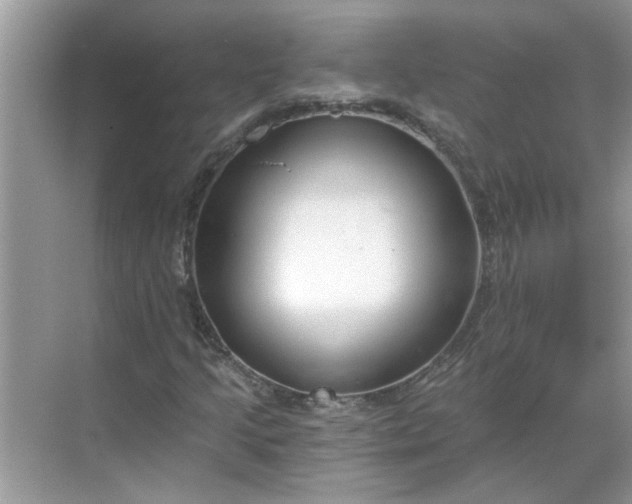 X0000068731205200605121509