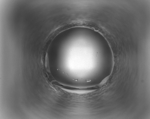 X0000068731206200605121509