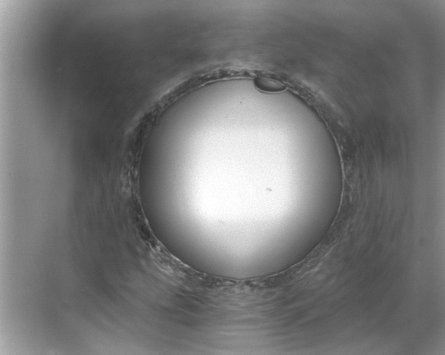 X0000068731207200605121509