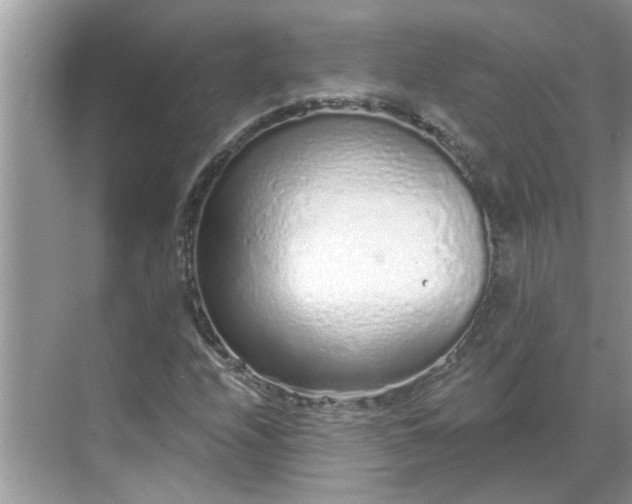 X0000068731208200605121509