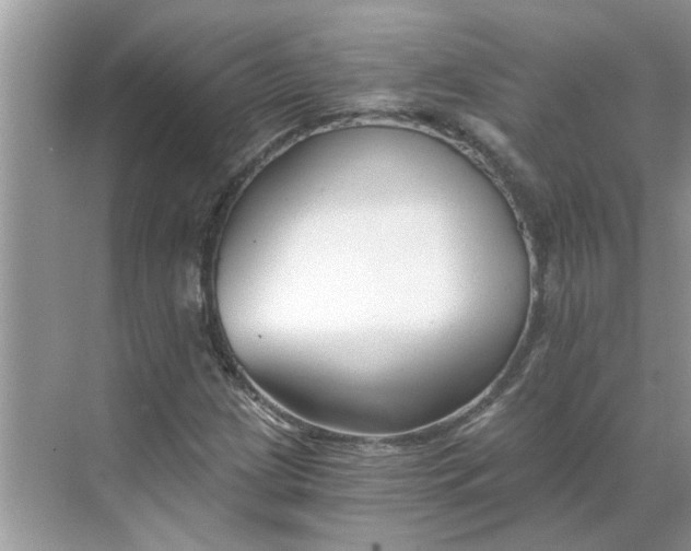 X0000068731209200605121509