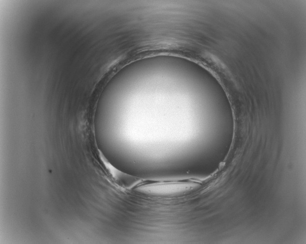 X0000068731210200605121509