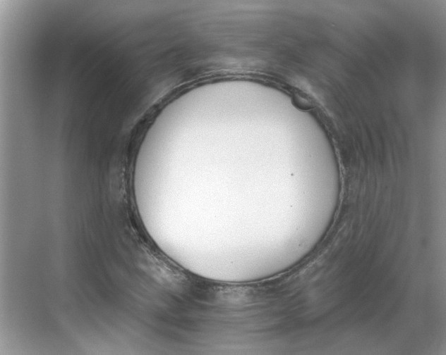 X0000068731211200605121509