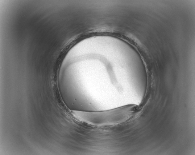 X0000068731213200605121509