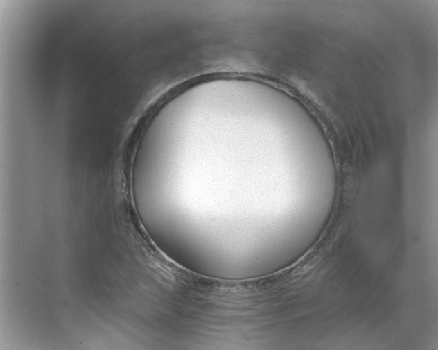 X0000068731215200605121509