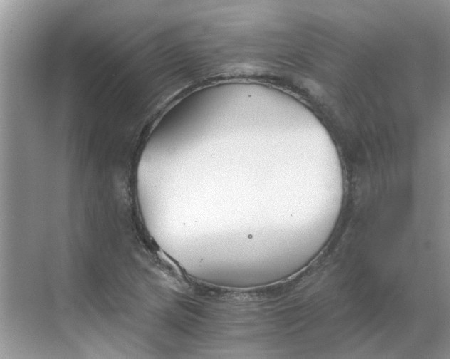 X0000068731217200605121509