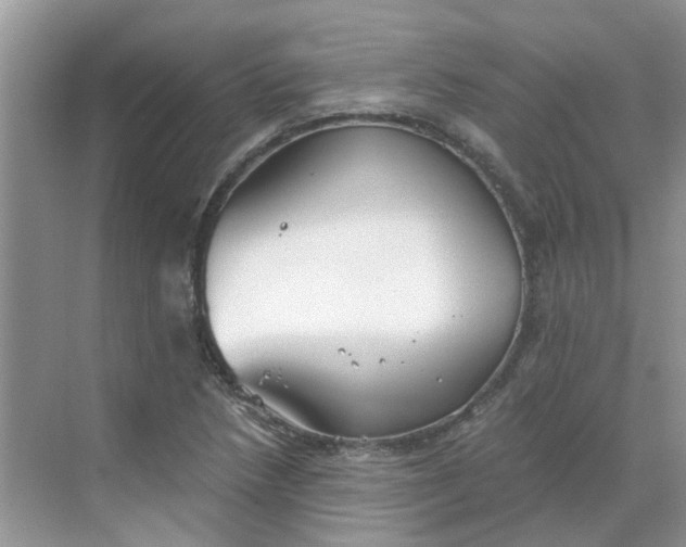 X0000068731218200605121509