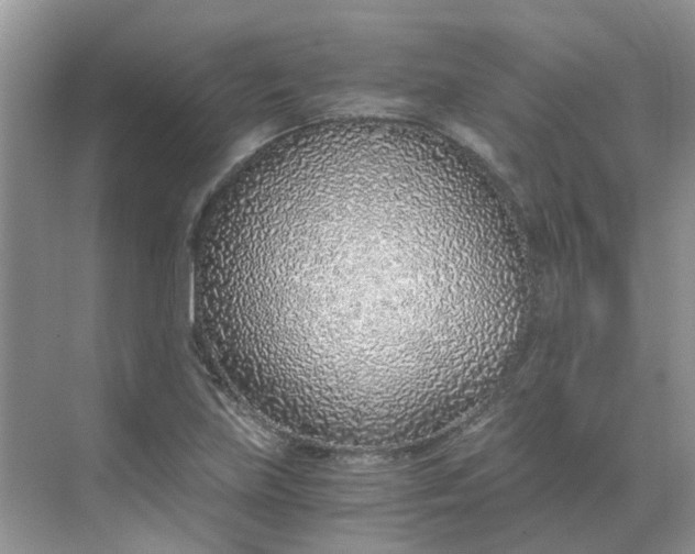 X0000068731219200605121509