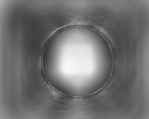 X0000068731220200605121509