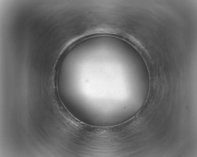 X0000068731222200605121509