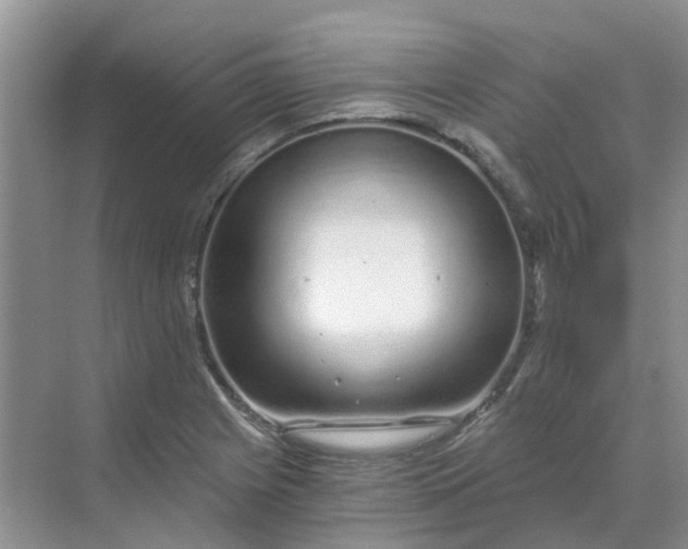 X0000068731225200605121509