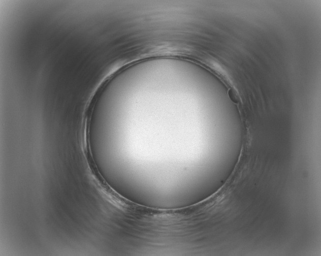 X0000068731227200605121509