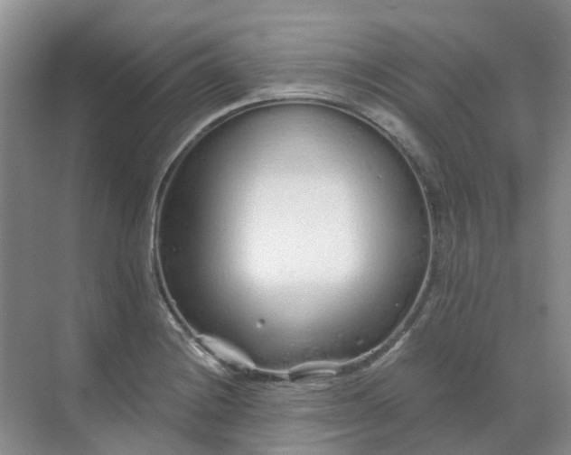 X0000068731228200605121509