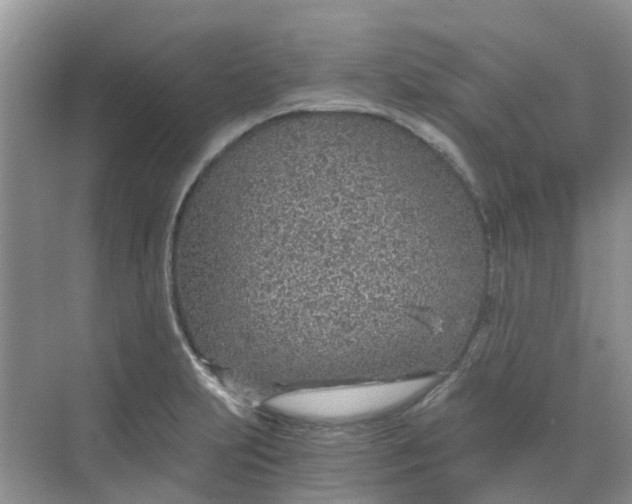 X0000068731231200605121509