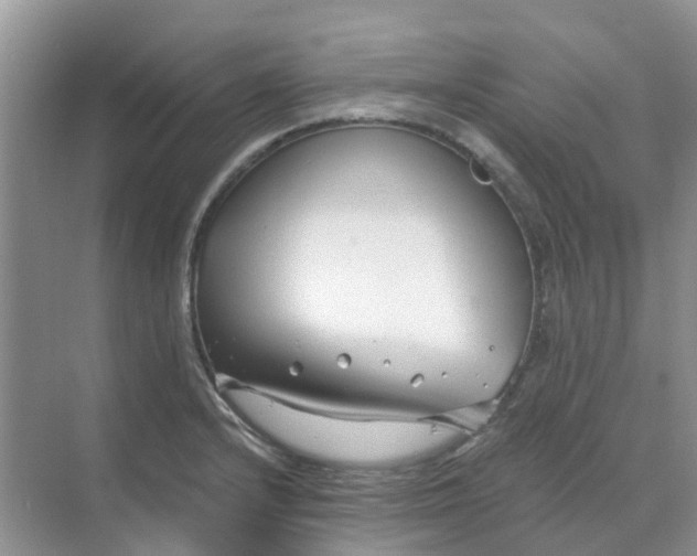 X0000068731232200605121509