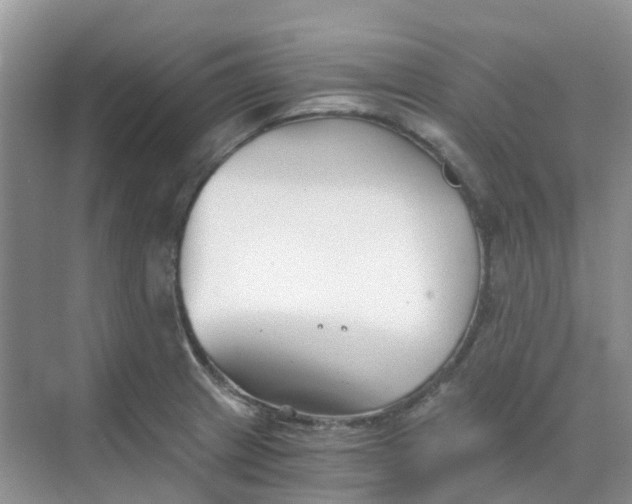 X0000068731233200605121509