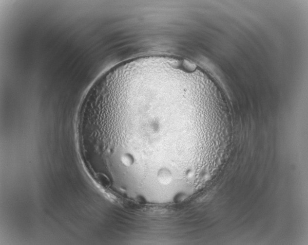 X0000068731235200605121509