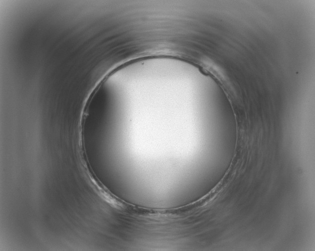 X0000068731236200605121509