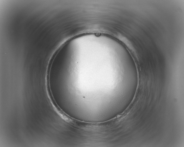 X0000068731237200605121509